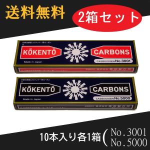 コウケントー 光線治療器用カーボン 3001番 5000番　セット　10本入り各1箱｜Noah’s Ark 1号店