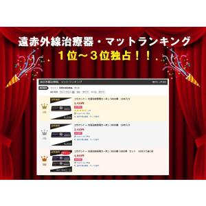 コウケントー 光線治療器用カーボン 3001番...の詳細画像3