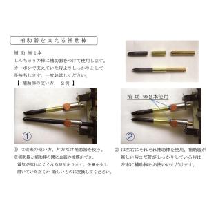 光線治療器 カーボン用補助棒 1本の詳細画像1