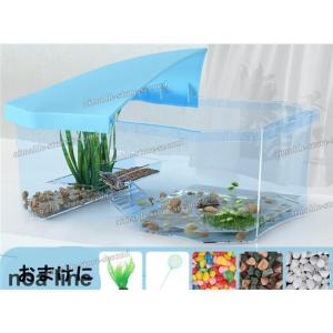 亀の水槽 蓋付き 両生類 カメの楽園 飼育ケー...の詳細画像2