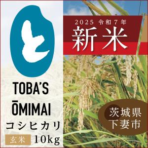 茨城県産にじのきらめき【精米 5kg】令和7年度＜新米＞送料無料♪鳥羽