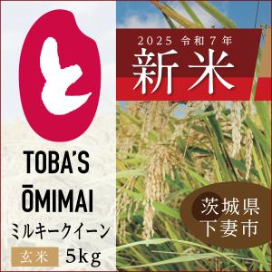 茨城県産にじのきらめき【精米 5kg】令和7年度＜新米＞送料無料♪鳥羽 