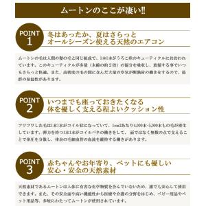 ムートン シートクッション クラフト 40×4...の詳細画像3