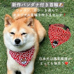 首輪 バンダナ セット 犬用 猫用 首輪 スカ...の詳細画像1