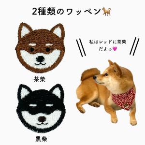 首輪 バンダナ セット 犬用 猫用 首輪 スカ...の詳細画像4