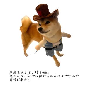 二足歩行 ハロウィン 犬 猫 なりきり 着ぐる...の詳細画像2