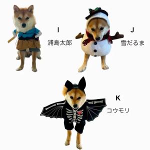 二足歩行 ハロウィン 犬 猫 なりきり 着ぐる...の詳細画像5