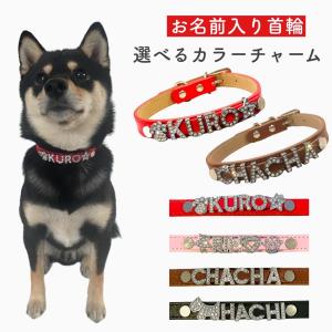 TIFFANY&Co.（ティファニー） 新古品 ペットカラー ペット用 犬用 首輪