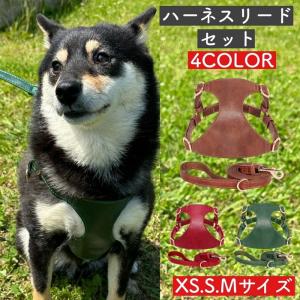 BURBERRY（バーバリー） ドッグリード 8073365 レザー バーバリー