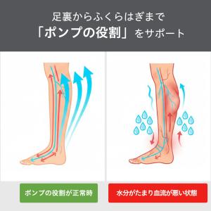 ゴルフ レディス 加圧 美脚 ハイソックス 2...の詳細画像5