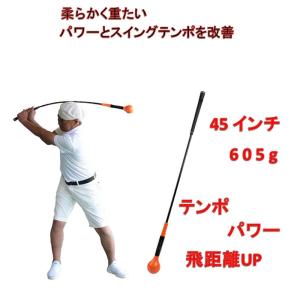 ロジャーキング パワーテンポプラス 重たく し...の詳細画像2