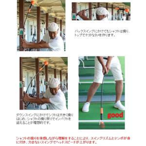 ロジャーキング パワーテンポプラス 重たく し...の詳細画像3