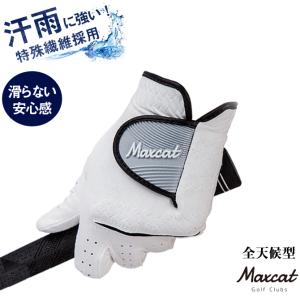 ゴルフ グローブ 手袋 マックスキャット 売り尽くし
