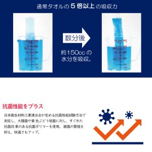 10枚入「抗菌アセステ」ASESTE 汗吸収パ...の詳細画像2