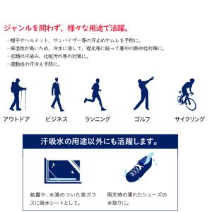10枚入「抗菌アセステ」ASESTE 汗吸収パ...の詳細画像5