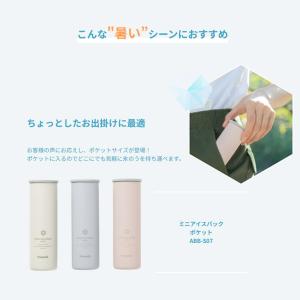 Peacock 冷却グッズ アイスパック AB...の詳細画像2