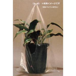 透明ビニール袋 植木鉢 プランター の商品一覧 園芸用品 花 ガーデニング 通販 Yahoo ショッピング