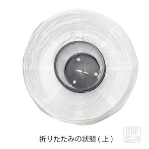 「提灯 白」26.酔い処/ちょうちん ビニール...の詳細画像2