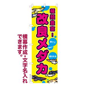 のぼり 改良メダカ めだか 名入れ 横幕作成可能 のぼり旗 既製品 短納期 デザイン 横断幕 600mm幅｜のぼり旗販売店はたはた旗