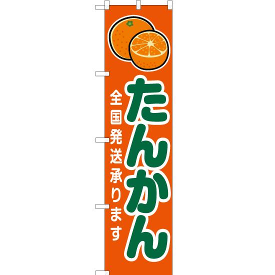 のぼり旗 2枚セット たんかん 全国発送承ります 橙 JAS-220