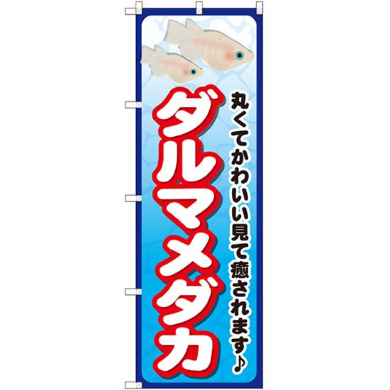 のぼり旗 3枚セット ダルマメダカ GNB-2449