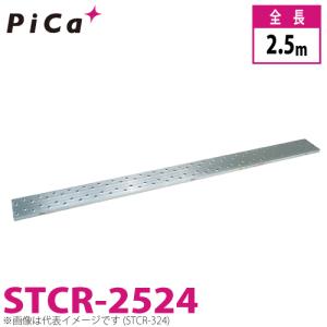 ピカコーポレイション ピカ/Pica 2連はしご プロ 2PRO-100B 最大使用