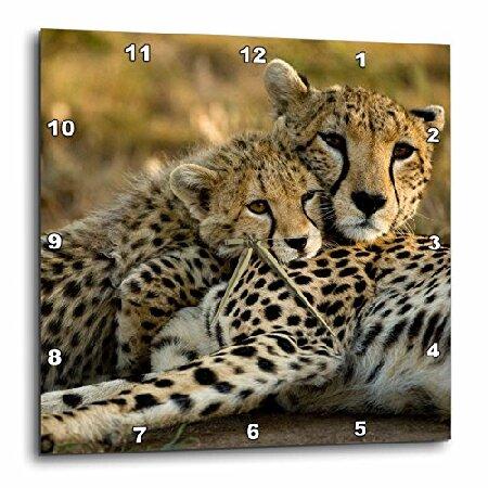 3dRose DPP_71059_1 Cheetah with Cub in The Masai M...