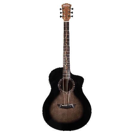 Washburn 6 String Acoustic-Electric Guitar, Right ...