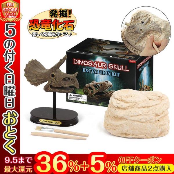 頭蓋骨発掘セット 骨格模型 ティラノサウルス 知育玩具 男の子 恐竜 誕生日プレゼント 入学祝い ク...