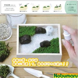 苔盆 こけぼん 苔庭園 手作りキット 癒し ア...の詳細画像1
