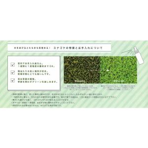 苔盆 こけぼん 苔庭園 手作りキット 癒し ア...の詳細画像4