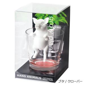 ウォータープラント】種から育てる水草 Lサイズ みずくさ 栽培セット