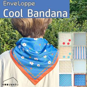 【メール便送料無料】ENVELOPPEクールバン...の商品画像