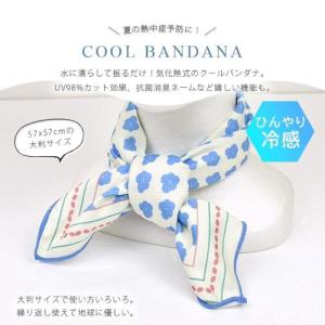 【メール便送料無料】ENVELOPPEクールバ...の詳細画像3