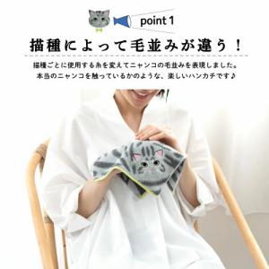 【メール便送料無料】UNJ うちのこメイト 毛...の詳細画像3