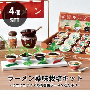 【送料無料】GD-1059 ラーメン薬味栽培キット 4個セット ミニミニサイズ ミニチュア ネギ 三つ葉 チンゲンサイ 唐辛子 聖新陶芸