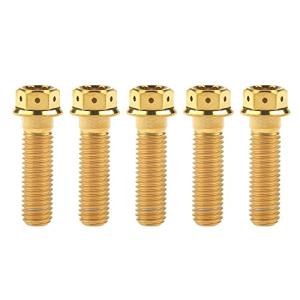 Ruifuチタン合金フランジヘッド六角穴付ボルトM10 20 25 30 35 40 45 50 55 60 65 70 75 80 85 90mm 二輪車用改造ネジ5個 (M10x3