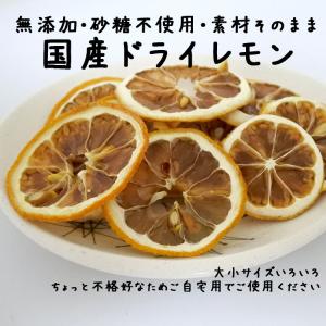 砂糖不使用 ドライフルーツ レモンの商品一覧 通販 Yahoo ショッピング