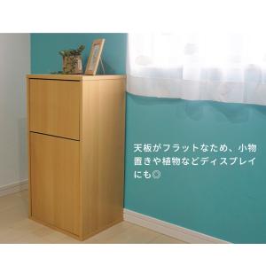 キューブボックスα ダストボックス ショートタ...の詳細画像5