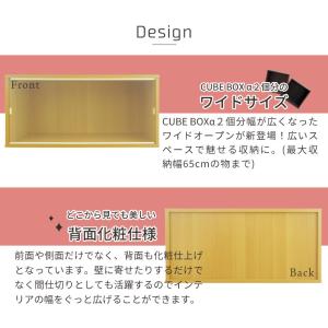UVカット アクリル フロントパネル フィギュ...の詳細画像3