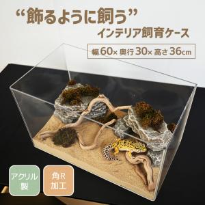 飼育ケース 飼育ケージ 飼育かご 飼育容器 アクリル ケージ 虫かご プラケース 幅60cm 高さ36cm 奥行30cm 爬虫類 小動物 昆虫 ハムスター 蛇 DIY向き クリア