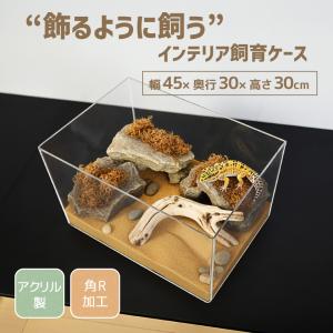 飼育ケース 飼育ケージ 飼育かご 飼育容器 アクリル ケージ 虫かご プラケース 幅45cm 高さ30cm 奥行30cm 爬虫類 小動物 昆虫 ハムスター 蛇 DIY向き クリア