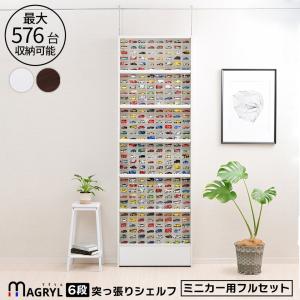 アクリルふたつき 超薄型 コレクションラック ダブルタイプ / スリム