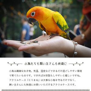Lサイズ登場 アクリル 鳥かごカバー とりまる...の詳細画像1