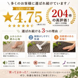 カーペット 8畳 絨毯 防音 防ダニ 厚手 江...の詳細画像4