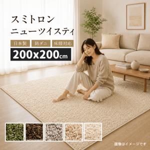 東リ（TOLI） ラグ 140×200cm ボーダー モノトーン ラグマット
