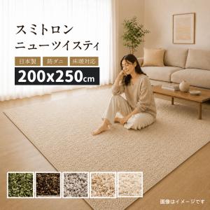 ラグ 3畳 ラグマット 厚手 カーペット おしゃれ 滑り止め 北欧 オールシーズン 絨毯 シャギー 日本製 200×250cm BNTW