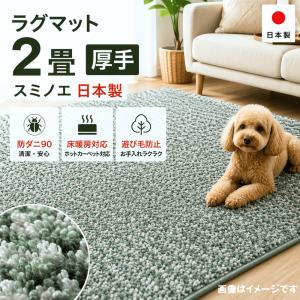 スミノエ 在庫限り 北欧デザインラグ 日本製 ヘイム(185×185 正方形 2 