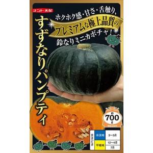 くり南瓜　すずなりパンプティ（ナント）　かぼちゃ　9cmポット苗