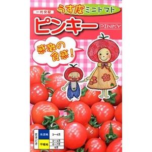 ミニトマト ピンキー 接ぎ木苗 9cmポット ...の詳細画像3